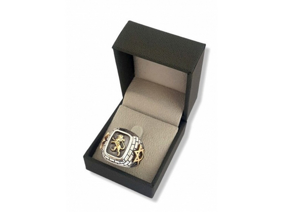 Anillo de Plata y Oro con León de Juda y Estrella de David para Hombre