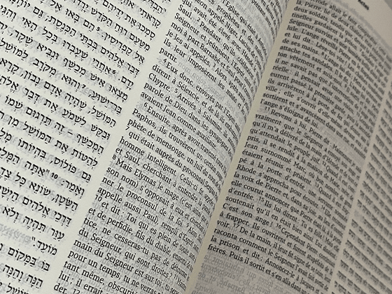 Bible Hébreu - Français – Couverture rigide - Compraenisrael