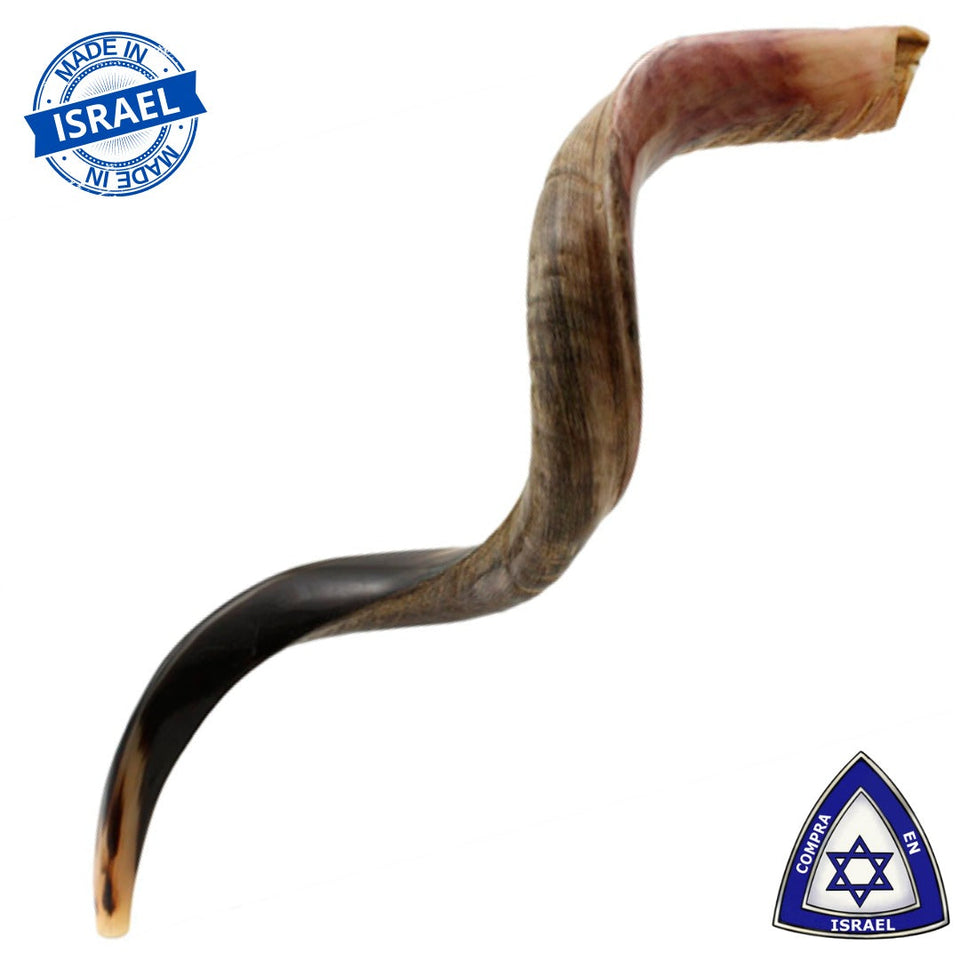 Shofar Yemenita Natural semi pulido talle XL 38-40PULGADAS / 97CM - 102CM con Soporte