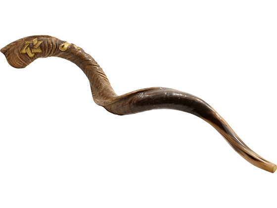 Shofar Tipo Yemenita con Jerusalem y Maguen David grabado - Compraenisrael