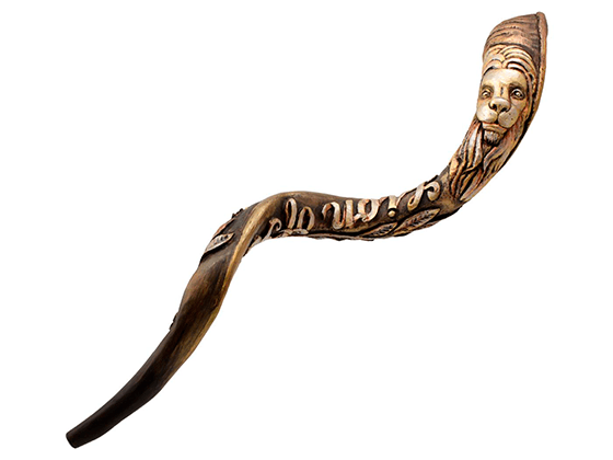 Shofar Tipo Yemenita con el León de Judá grabado - Compraenisrael