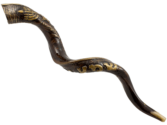 Shofar Tipo Yemenita con el Shema Israel grabado - Compraenisrael
