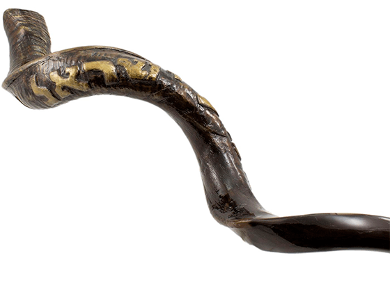 Shofar Tipo Yemenita con el Shema Israel grabado - Compraenisrael