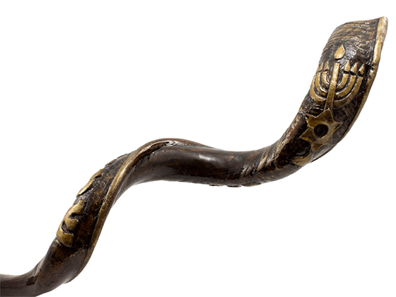 Shofar Tipo Yemenita con el Shema Israel grabado - Compraenisrael