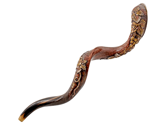 Shofar Tipo Yemenita con la Planta de la Vid grabada - Compraenisrael