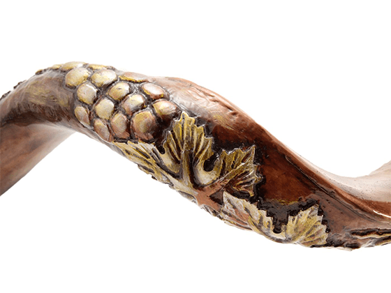 Shofar Tipo Yemenita con la Planta de la Vid grabada - Compraenisrael