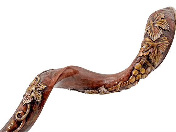 Shofar Tipo Yemenita con la Planta de la Vid grabada - Compraenisrael