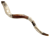 Shofar Yemenita decorado en Plata - Maguen David - Compraenisrael