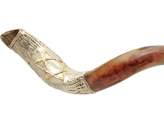 Shofar Yemenita decorado en Plata - Maguen David - Compraenisrael