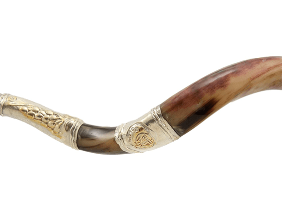 Shofar Yemenita decorado en Plata - Maguen David - Compraenisrael