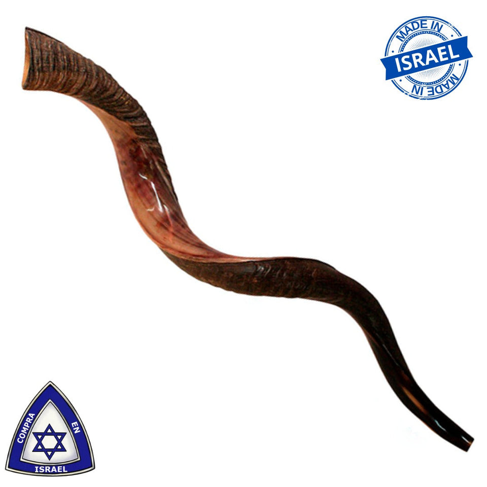 Shofar Yemenita Natural semi pulido talle XL 38-40PULGADAS / 97CM - 102CM con Soporte