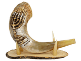 Shofar corto con la Menorah de 7 Brazos grabada - Compraenisrael