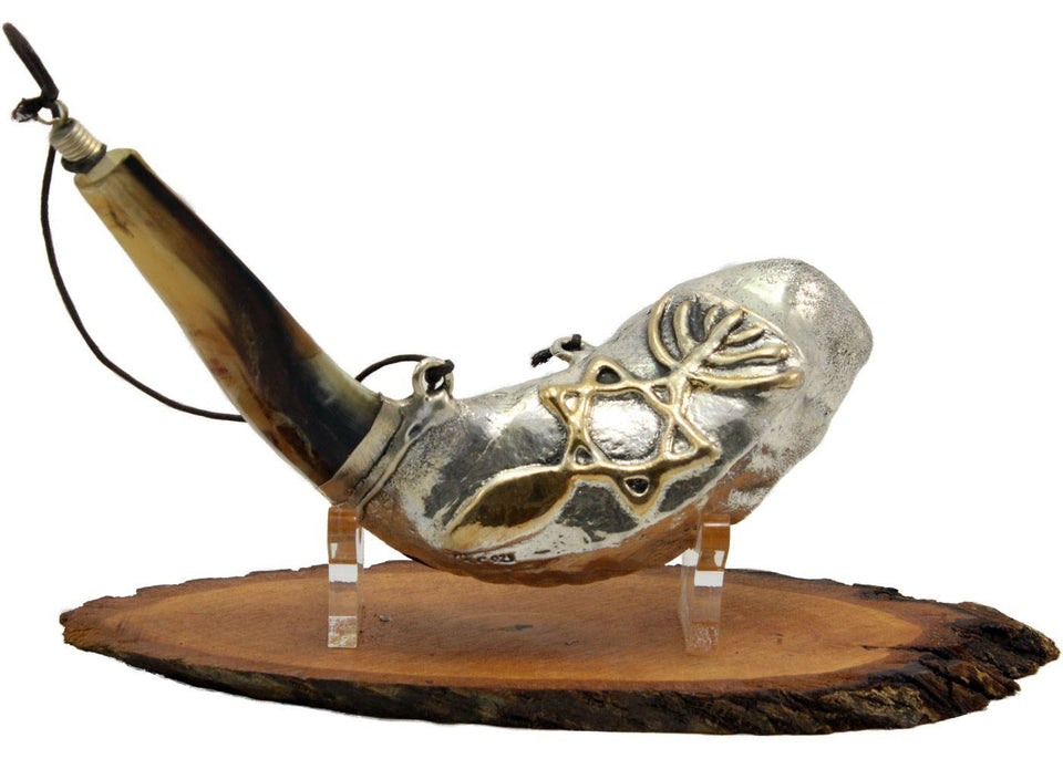 Shofar corto para Aceite de Unción en Plata - Mesiánico - Compraenisrael