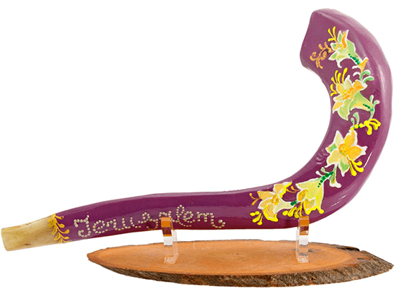 Shofar corto pintado a mano por Sarit Romano L - Jerusalén púrpura - Compraenisrael