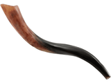 Shofar tipo Yemenita Natural pulido talle S - Compraenisrael