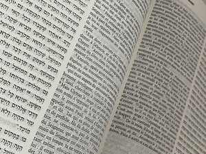 Bible Hébreu - Français - Cuir et fermeture éclair - Compraenisrael