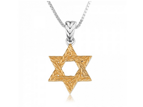 Gold and Silver Star of David Necklace
