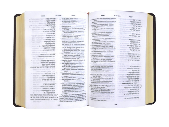 Hebrew & English Bible – NASB – Leather