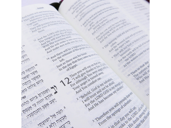 Hebrew & English Bible – NASB – Leather & Zipper