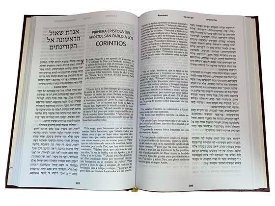 Biblia Nuevo Testamento Hebreo-Español Tapa Dura - Compraenisrael
