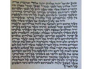 Pergamino Kosher mediano Sefaradí Mehudar de 12cm - Compraenisrael