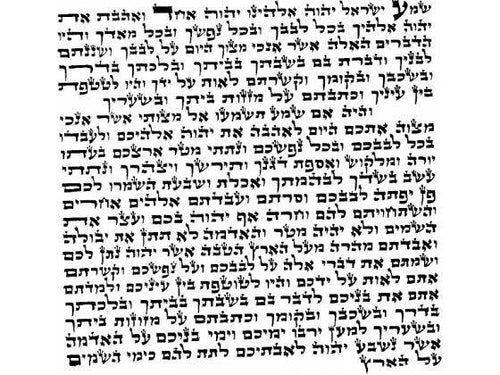 Pergamino kosher mediano Ari Zal de 12cm - Compraenisrael