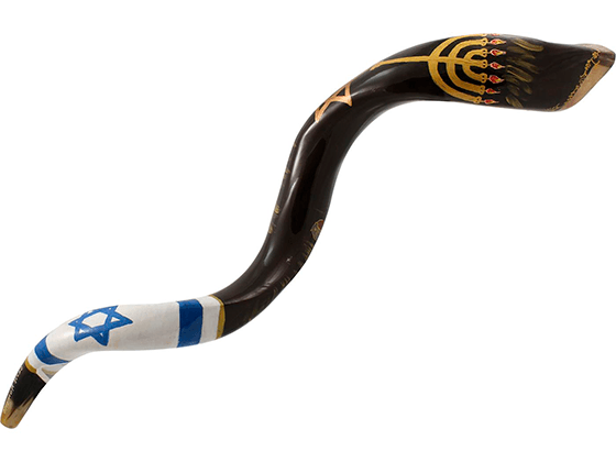 Shofar Tipo Yemenita pintado a mano por Sarit Romano XL - Bandera de Israel - Compraenisrael